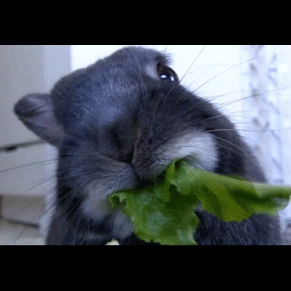 Meet your Posher, Rachael - Picture 1 of 1